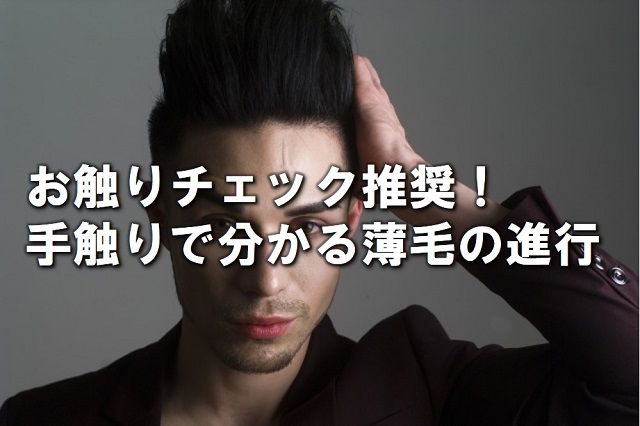 手触りで分かる薄毛の進行